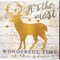 Merry Christmas Deer & It's the Most Wonderful Time Deer by Cindy Jacobs 14" x 14" Canvas Wall Art (Set of 2)